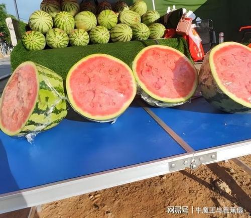 52吃瓜爆料免费吃瓜视频 独家爆料文轩,独家揭秘文轩，免费吃瓜视频大放送！